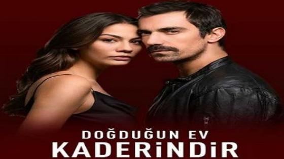 أحداث وقصة الحلقة 17 من مسلسل منزلي
